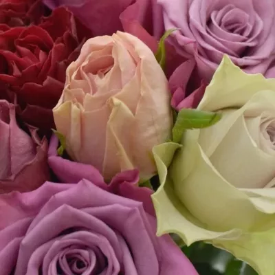 Kytice 15 růží MEGAN 50cm