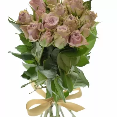 Kytice 15 růží OLD DUTCH 40cm