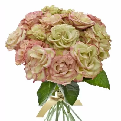 Kytice 15 růžových růží  CAROUSEL ILLUSION 50cm