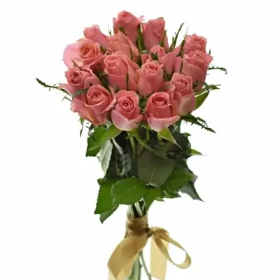 Kytice 15 růžových růží ACE PINK 50cm