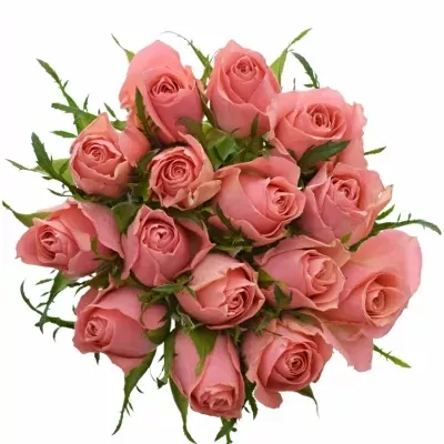 Kytica 15 ružových ruží ACE PINK 50cm