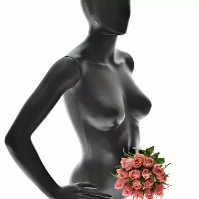 Kytica 15 ružových ruží ACE PINK 50cm