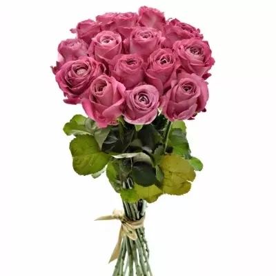 Kytice 15 růžových růží ALL 4 LOVE+