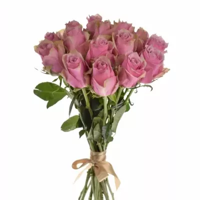 Kytica 15 ružových ruží ATHENA ROYALE