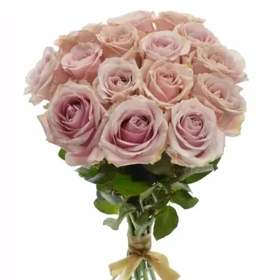 Kytice 15 růžových růží AVALANCHE PINK+ 60cm