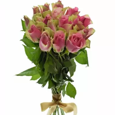 Kytice 15 růžových růží BELLEVUE 40cm