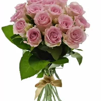 Kytice 15 růžových růží BISOU 50cm 