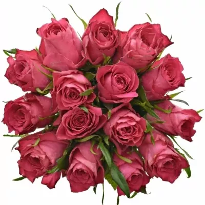 Kytice 15 růžových růží CANDIDATE! 60cm