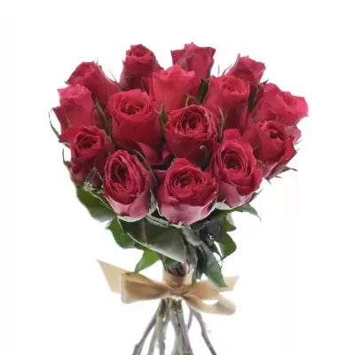 Kytice 15 růžových růží CHERRY O!