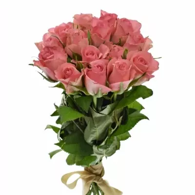 Kytice 15 růžových růží DEKORA 50cm