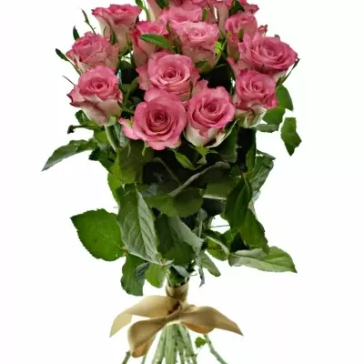 Kytice 15 růžových růží ENSEMBLE 40cm 