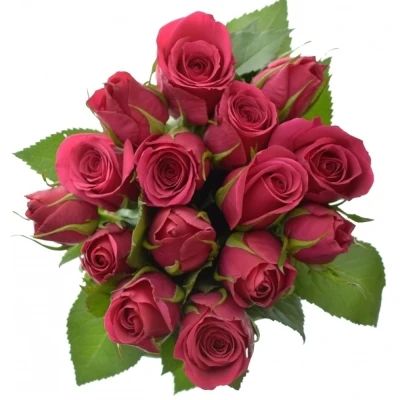 Kytice 15 růžových růží FUCHSIANA