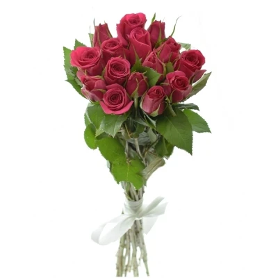 Kytice 15 růžových růží FUCHSIANA