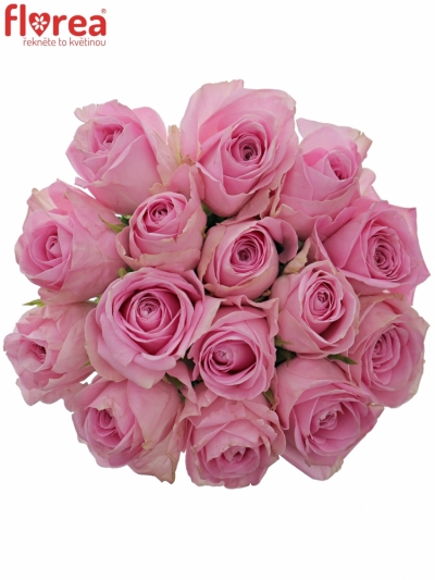 Kytice 15 růžových růží HEIDI! 60cm