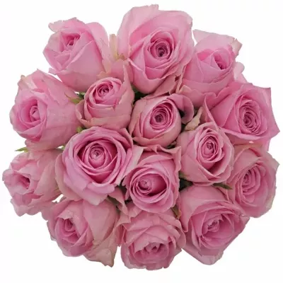 Kytice 15 růžových růží HEIDI! 35cm