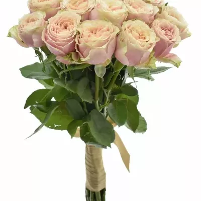 Kytica 15 ružových ruží HELEN OF TROY 90cm