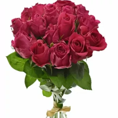 Kytice 15 růžových růží ISADORA 40cm