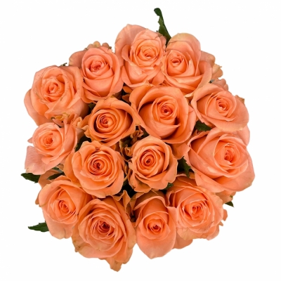 Kytice 15 růžových růží KISS 2U 40 cm
