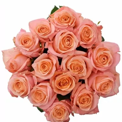 Kytice 15 růžových růží LADY MARGERAT 70cm