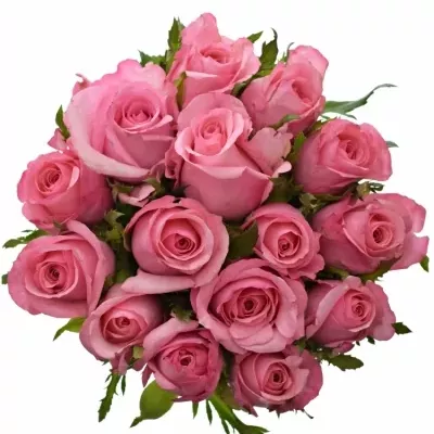 Kytice 15 růžových růží LOVELY JUBILEE 90cm