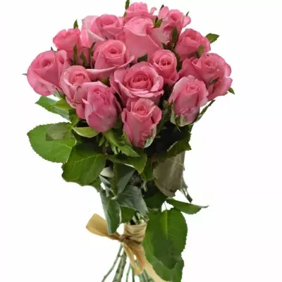 Kytice 15 růžových růží LOVELY JUBILEE 40cm