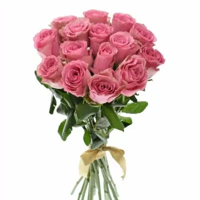 Kytica 15 ružových ruží LOVELY RHODOS