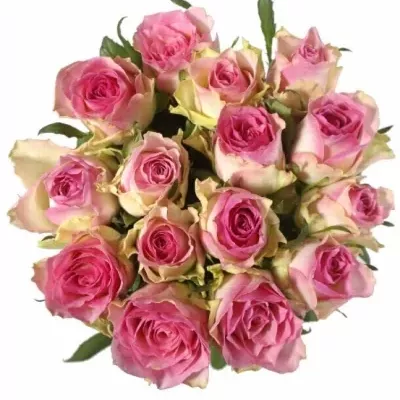 Kytica 15 ružových ruží MALIBU 80cm