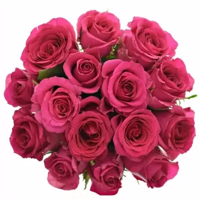 Kytice 15 růžových růží MEMORY 40cm