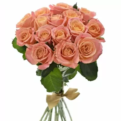 Kytice 15 růžových růží MISS PIGGY