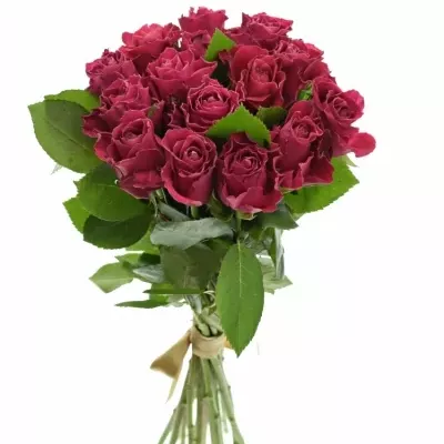 Kytice 15 růžových růží MOVIE STAR 40cm