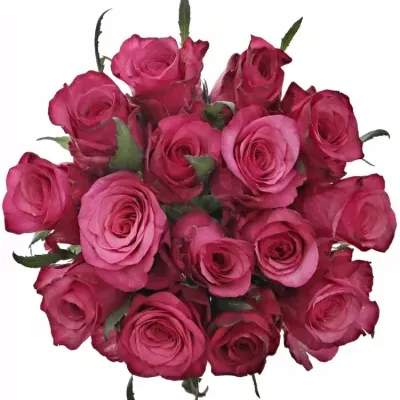 Kytice 15 růžových růží NATURES WILD 55cm