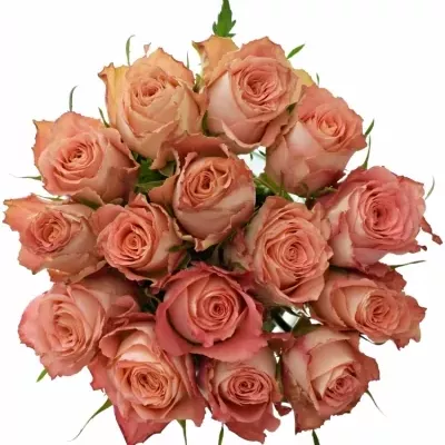 Kytica 15 ružových ruží PINK SILK 40cm