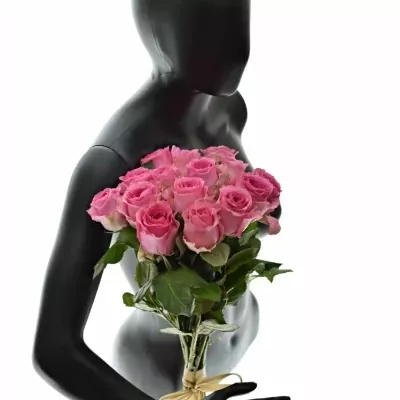 Kytice 15 růžových růží SHANGHAI LADY 40cm 