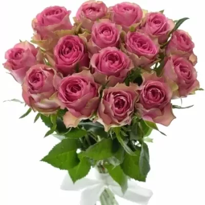 Kytice 15 růžových růží SHIARY 50cm 