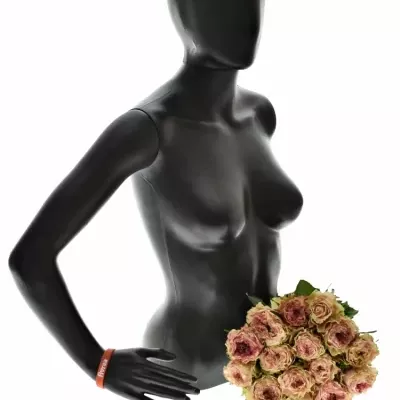 Kytice 15 růžových růží SPLASH EYE@