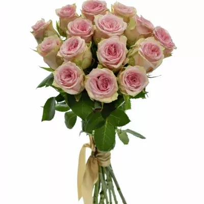 Kytice 15 růžových růží SUDOKU 50 cm