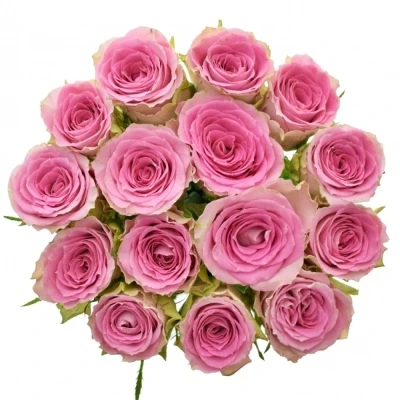 Kytice 15 růžových růží TIMES SQUARE