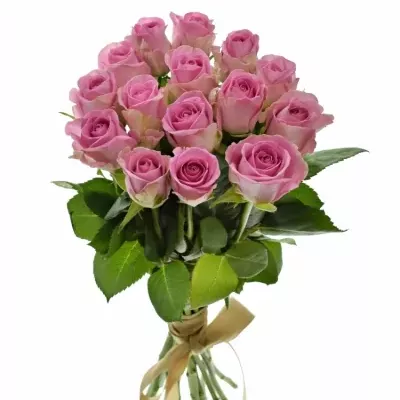 Kytice 15 růžových růží VIDEO 40cm