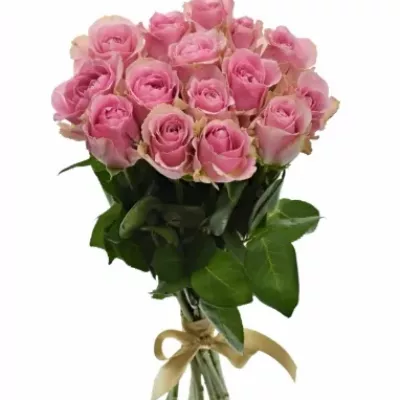 Kytice 15 růžových růží WHAM 50cm