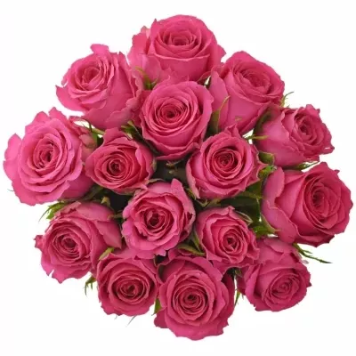 Kytice 15 růžových růží WINK 60 cm