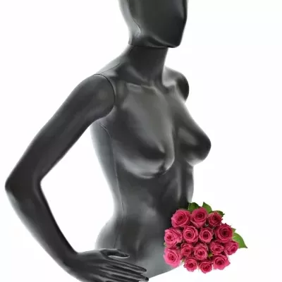 Kytice 15 růžových růží WINK 40 cm