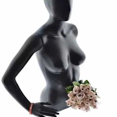 Kytice 15 starorůžových růží MENTA