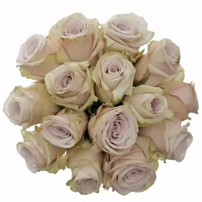 Kytice 15 světle fialových růží SILVERY FLAME 60cm