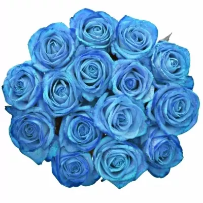 Kytice 15 světle modrých růží LIGHT BLUE VENDELA 80cm