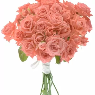 Kytice 15 trsových růží BARBADOS 40cm