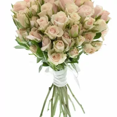 Kytice 15 trsových růží ROYAL PORCELINA  40cm