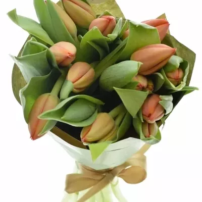 Kytice 15 tulipánů AD REM 40cm-papír