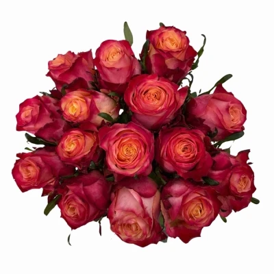 Kytice 15 vícebarevných růží MAI TAI