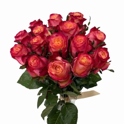 Kytice 15 vícebarevných růží MAI TAI