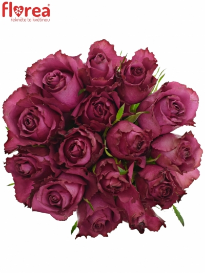 Kytice 15 vínových růží BLUEBERRY 60cm